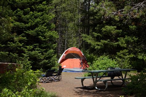 Grand Teton National Park Campgrounds Thromalak