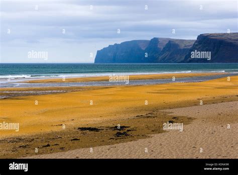 Rauðisandur Red Sand Beach Westfjords Iceland Stock Photo Alamy