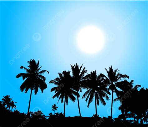 Tropical Sunset Palm Tree Silhouette Sunrise Grass Vector Vector