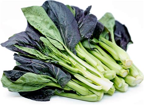Red Bok Choy Cabbage Information And Facts
