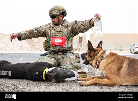 Us Air Force Staff Sgt Rafael Del Real A Military Working Dog