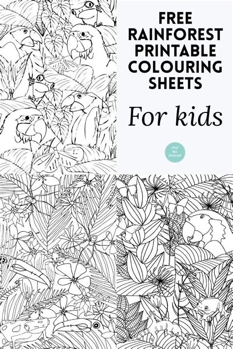 It's wonderful that, through the process of drawing and coloring, the learning about things around us does not only become joyful. FREE rainforest printable colouring sheets - Craft with ...