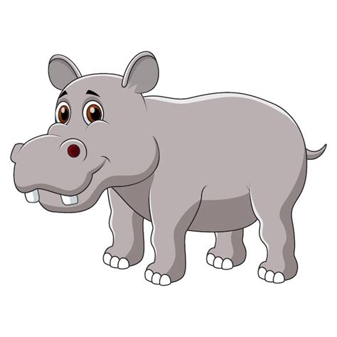 Premium Vector Cute Hippo Cartoon Isolated