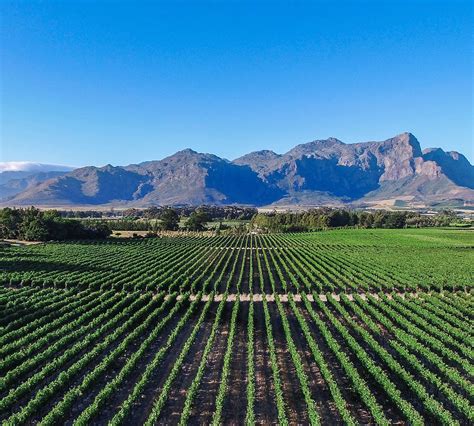 Lynx Wine Franschhoek All You Need To Know Before You Go
