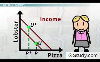 Normal & Inferior Goods in Microeconomics - Video & Lesson ...