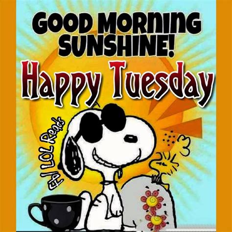I feel sorry for people who don't drink. Snoopy Good Morning Sunshine Happy Tuesday Pictures ...
