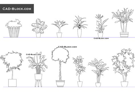 Indoor Plants Cad Blocks In Dwg