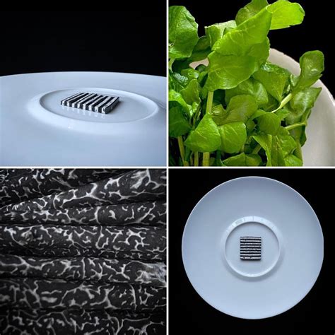 Four different pictures with plants in them and one has a drainer on