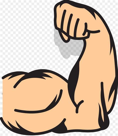 Muscle Arms Muscle Arms Clip Art Strong Arms 20062308 Transprent Png