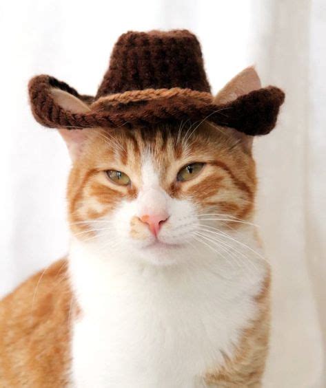 Cowboy Hat For Cats Bandana Add On Option Cowboy Halloween Costume