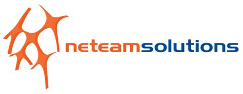 Neteam Solutions - Network Services and Computer Services New York Area. Network Services ...