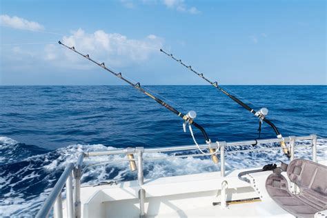 We will fish for flounder, sea. Here Are the Best Maine Fishing Charters | Topside Inn
