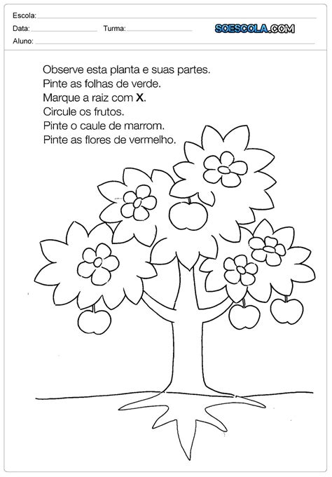 Atividades Para O Dia Da Arvore