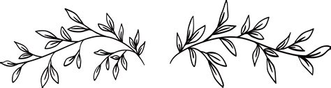 Black And White Hand Painted Leaves Flower Vine Png Download 5908