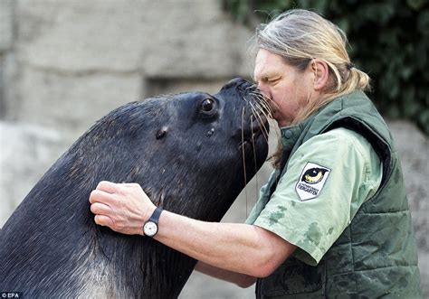 Sea Lion Puts On An Amorous Display Of Affection Towards Its Keeper