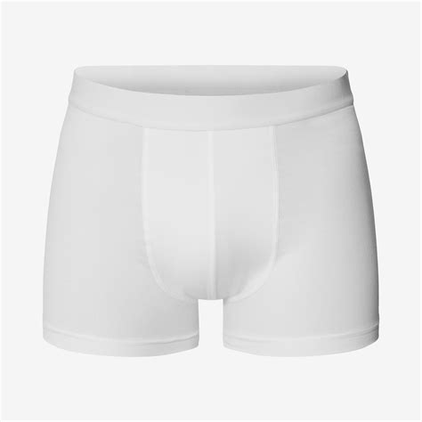 2 Pack White Boxer Brief Underpants Modal Bread And Boxers