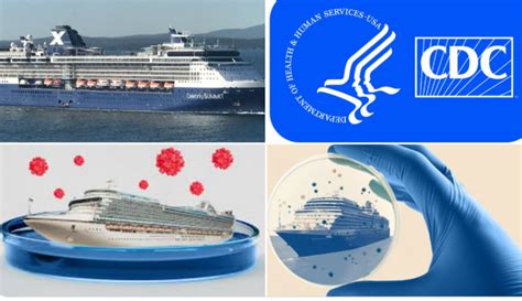 Norovirus Sickens 177 On Celebrity Summit Twelve Gastrointestinal Outbreaks On Cruise Ships So
