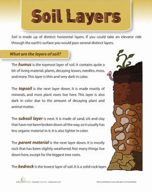 Layers of soil