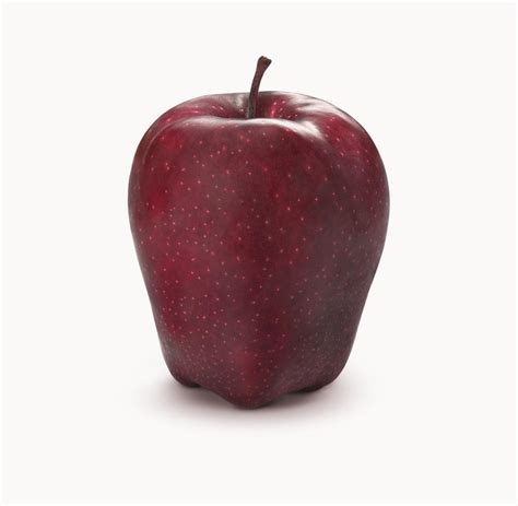 Mild, sweet flavor, with a long storage life. Red Delicious in Bio. Purpurrot, süß und aromatisch ...