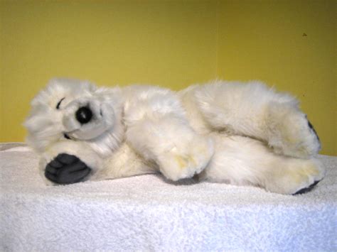 Polar Bear Cubs Sleeping Funny Animal