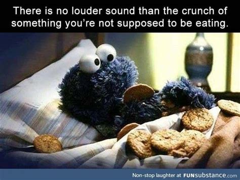 Cookie Monster Advice Funsubstance Funny Pictures For Kids Funny
