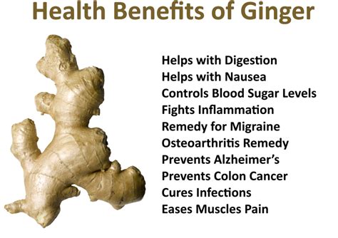 Effective Health Benefits Of Ginger My Health Only