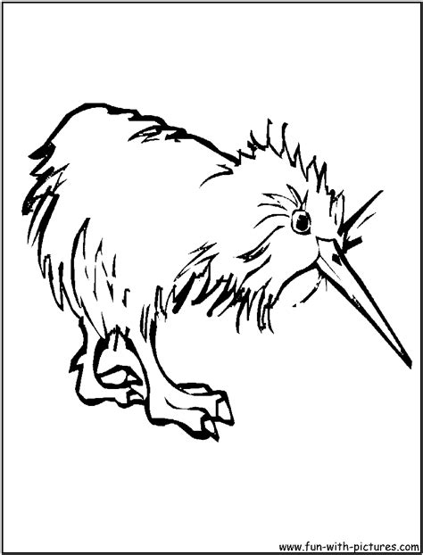 Download and print free kiwi coloring pages to keep little hands occupied at home; Kiwi Coloring Page