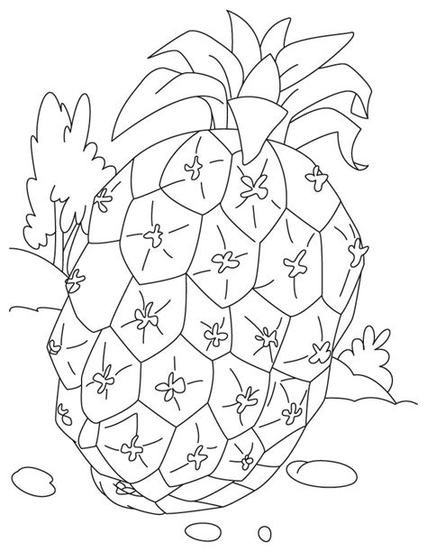 Pineapple Fruit Coloring Pages Download Free Pineapple Fruit Coloring