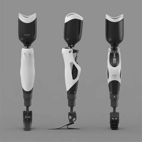 Prosthetic Limb Prosthetics Robotic Prosthetics Prosthetic Leg