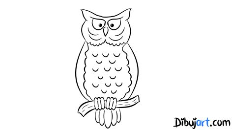 Bosquejo O Sketch Del Buho Para Colorear How To Draw A Owl Video Owl