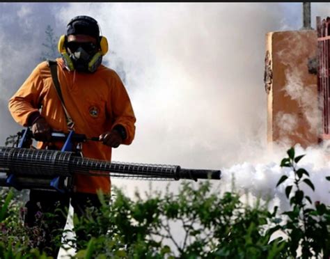 The malaysian state of negeri sembilan means 'nine states'. Negeri Sembilan dengue cases double over same period in 2018
