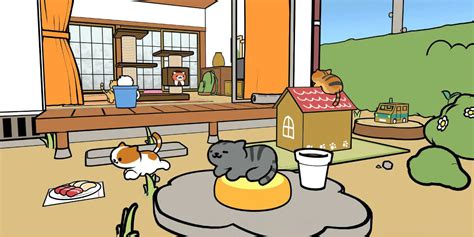 Adorable Cat Collecting Game Neko Atsume Vr Is Finally Available On Ps