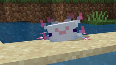 Smiling Axolotl Bedrock Edition Minecraft Texture Pack