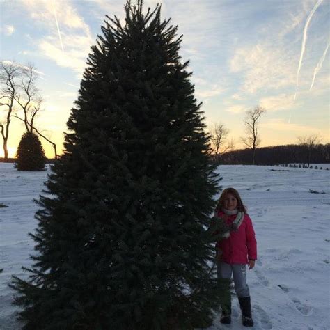 Here you can download get the latest version of auto clicker and also get all details about. Werley's Christmas Tree Farm - Home | Facebook