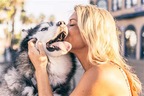 Whats Your Dogs Love Language Take Our Quiz To Find Out