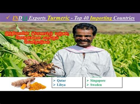 India Export Turmeric மஞசள Products Top 40 Import Countries 01
