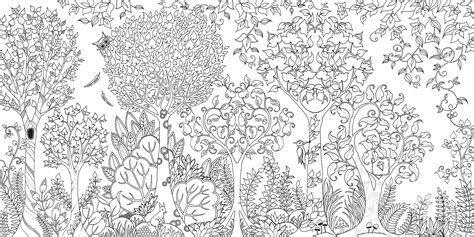 Enchanted Forest Colouring Book Finlee And Me