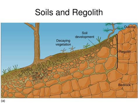Ppt Soils And Regolith Powerpoint Presentation Free Download Id