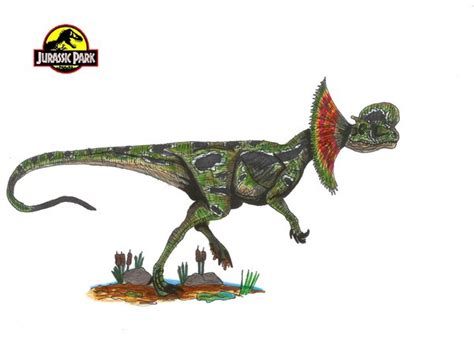 Dilophosaurus Fossil Wiki Fandom Powered By Wikia