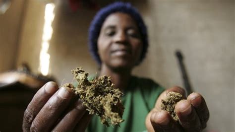 Who Calls For Regulation Of Traditional Medicine In Africa