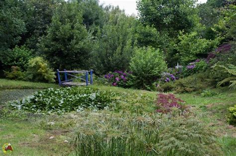 *las plantas no se pueden enviar a alaska o hawái. Jardín naturalista junto al lago Ranco en Chile | Jardines ...