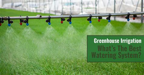 Greenhouse Irrigation Whats The Best Watering System