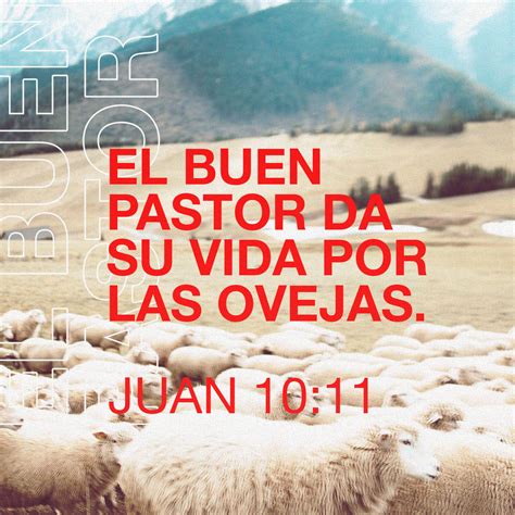 S Juan 1011 Yo Soy El Buen Pastor El Buen Pastor Su Vida Da Por Las