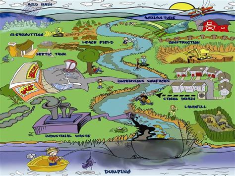 Water pollution is the contamination of water bodies such as a lake, river, stream or marine environment. What is Water Pollution? The Sources and Impacts of Water ...