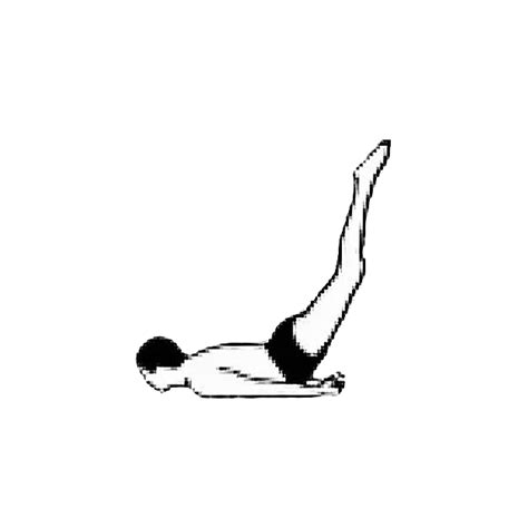 Asana is yoga pose or posture or position of the body. Locust | The Yoga Warehouse