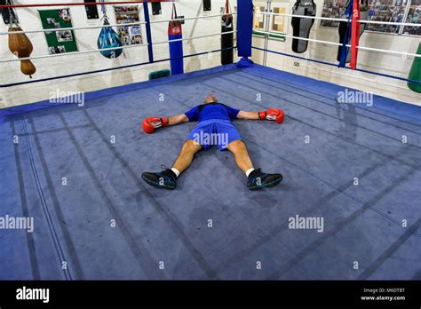 Boxing Knockout