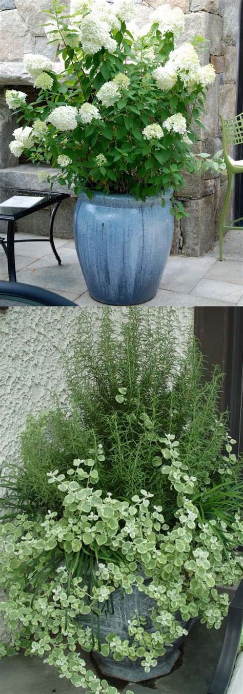 24 Stunning Container Garden Planting Designs Page 2 Of 3 A Piece