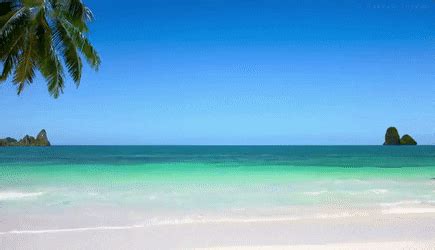 A place where it's winter? Best Beach Background GIFs | Find the top GIF on Gfycat