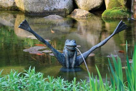 Crazy Legs Frog Spitter Backyard Water Feature Ponds Backyard Koi