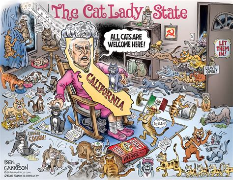 rogue cartoonist california the cat lady state